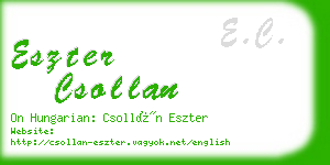 eszter csollan business card